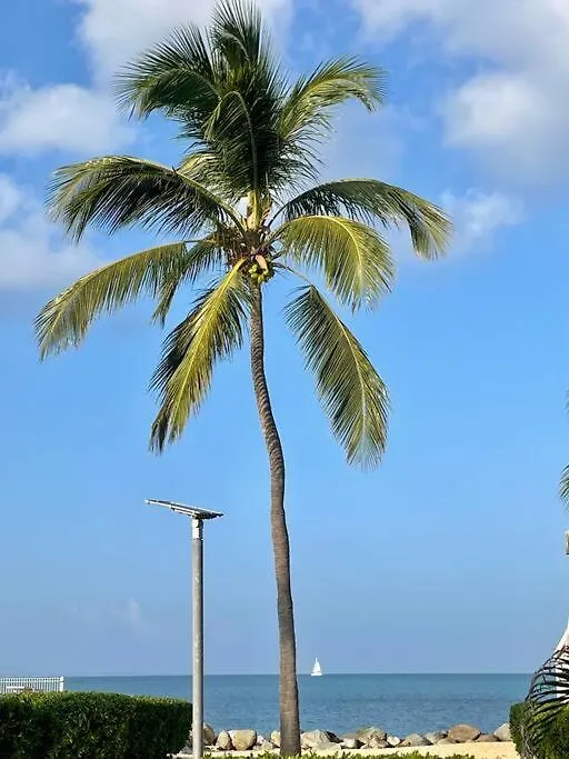 Cote Mer Wonderfull 2 Bedrooms Beachfront Nettle Bay Beach Club Baie Nettle